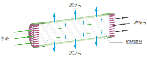 20230907163410_2159 首页-BB贝博艾弗森公司官网